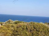 KIBRIS GİRNE KAYALAR BÖLGESİNDE SATILIK DENİZE SIFIR İMARLI ARAZİLER ❗️ Lands FOR SALE Which is Suitable For Construction Next To The Sea Kayalar Region Of Kyre